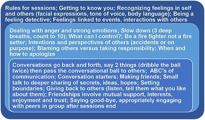 The Feasibility and Effectiveness of a Novel, On-Line Social Skills Intervention for Individuals With Prader-Willi Syndrome